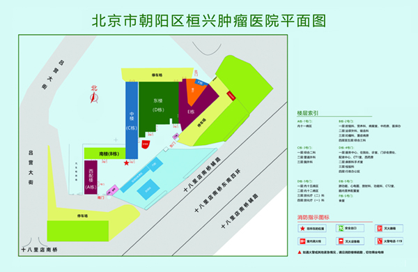 真人插bb网站北京市朝阳区桓兴肿瘤医院平面图